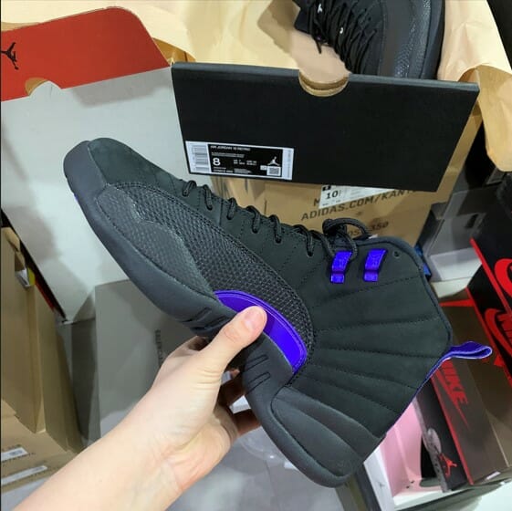Air Jordan 12 Dark Concord