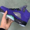 Air Jordan 5 Invert Grapes