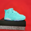 Air Jordan 6 Green Lake