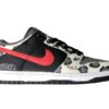 Dunk Low Graffiti Shoes Sneakers