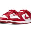 Dunk Low Next Nature White Gym Red Shoes Sneakers