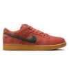 Dunk Low SB Burnt Sunrise Shoes Sneakers
