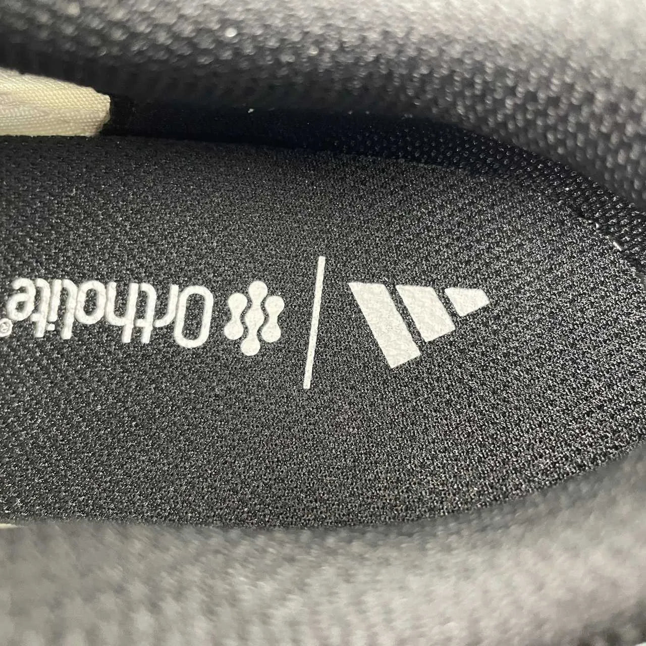 17923967302599288960.jpg