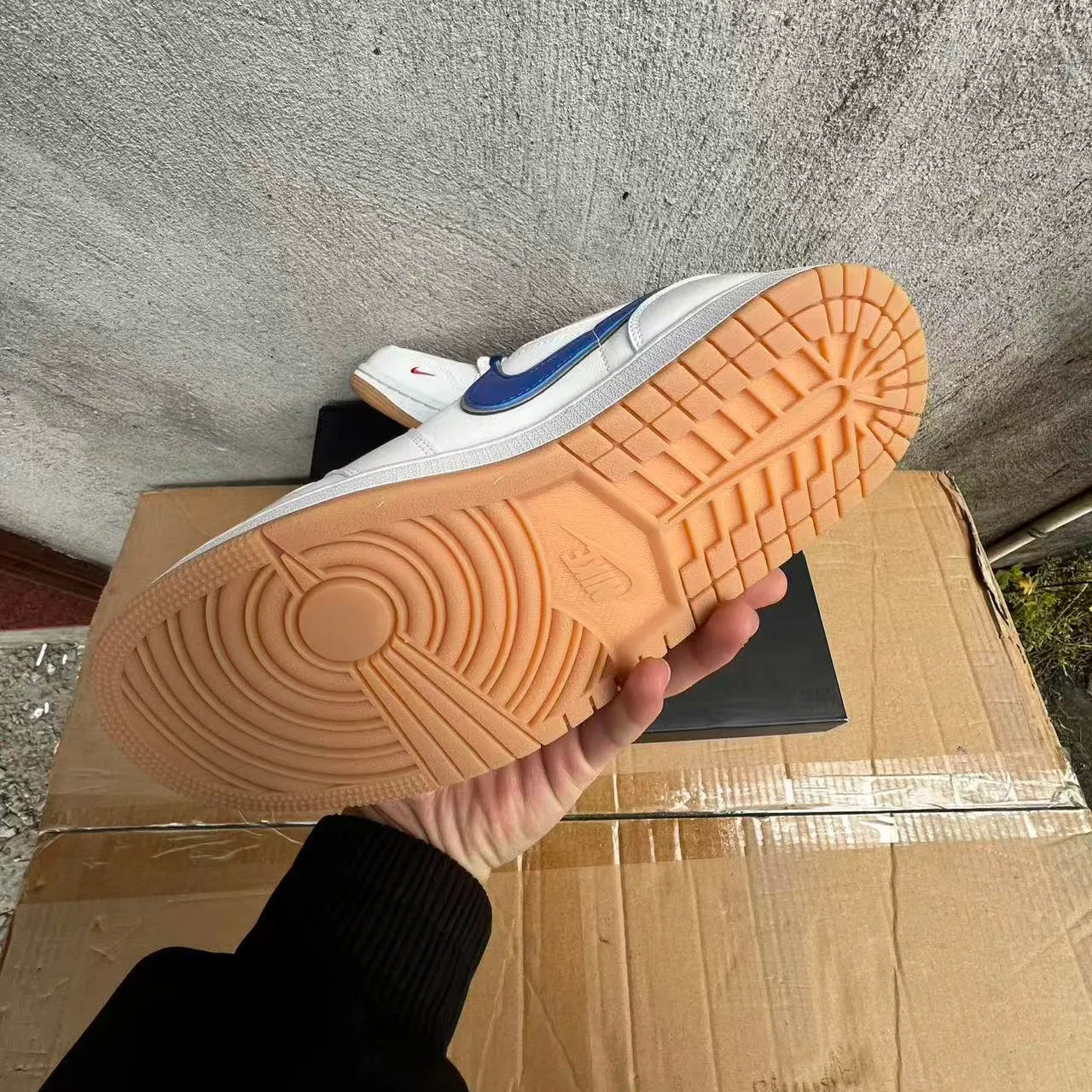 17924024084203627410.jpg
