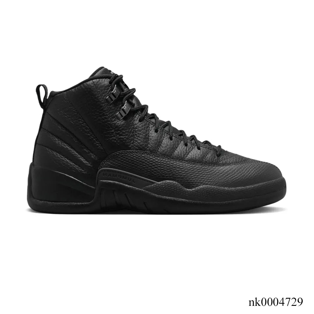 Air Jordan 12 Black Cat Shoes Sneakers