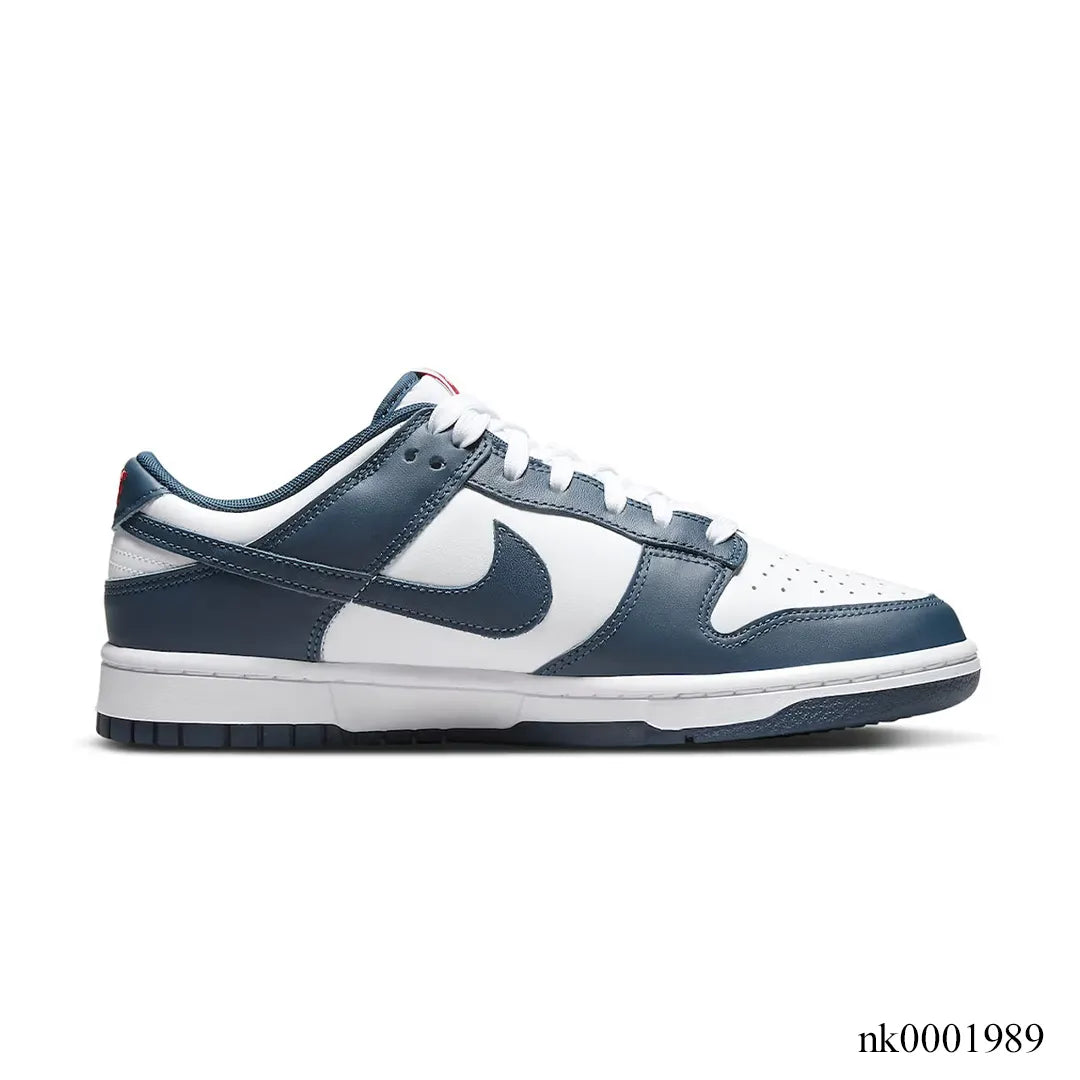 Dunk Low Retro Valerian Blue Shoes Sneakers