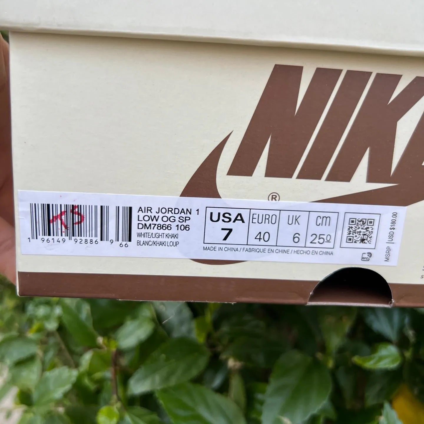 17924712732284521610.jpg