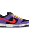 Nike Dunk Low Pro SB ‘ACG Terra’ Shoes Sneakers